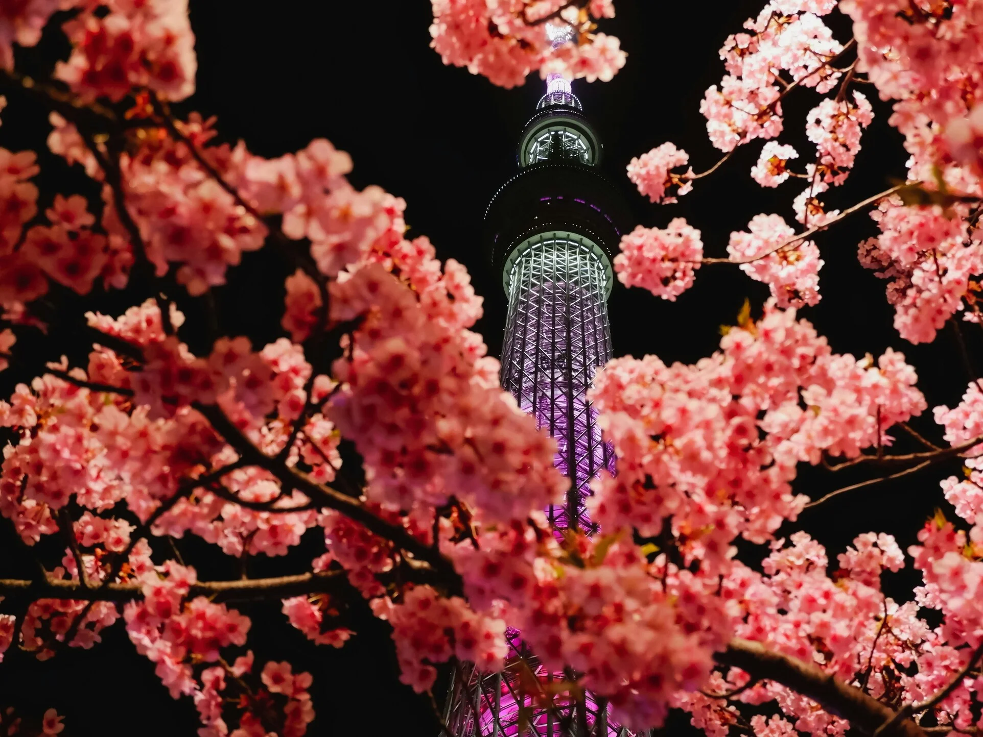 Vista panorámica de Tokio con la torre Tokyo Skytree al fondo